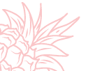 pineapple_r