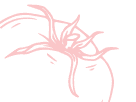 tomato_r