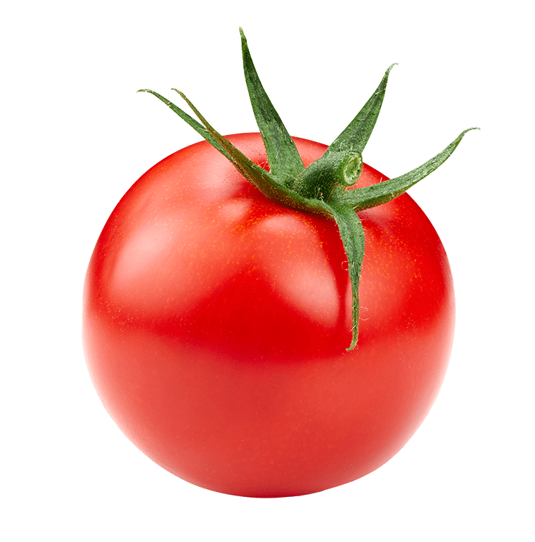 Tomato