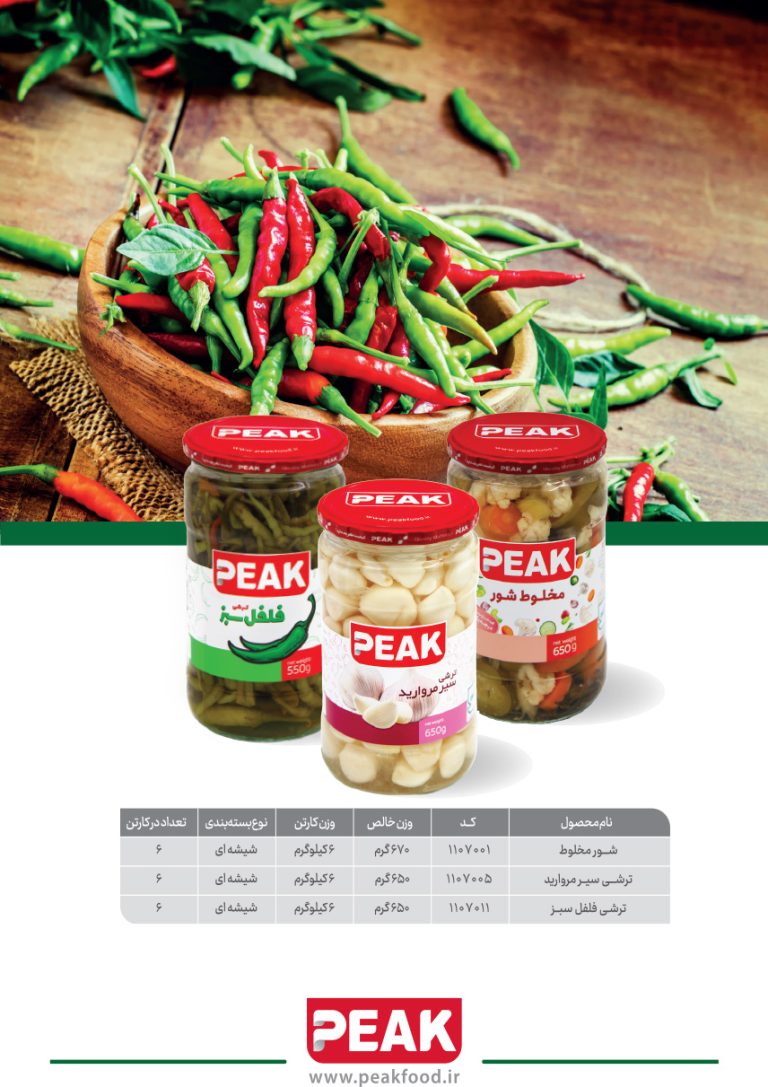 کاتالوگ محصولات پیک