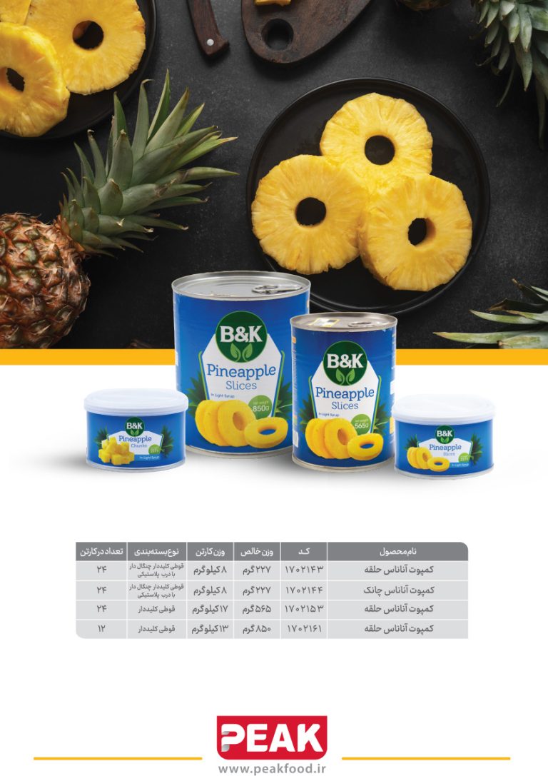 کاتالوگ محصولات پیک