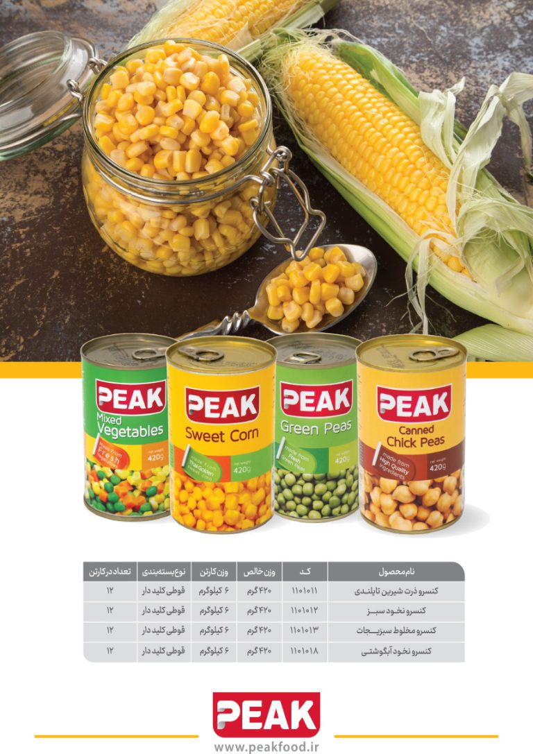 کاتالوگ محصولات پیک