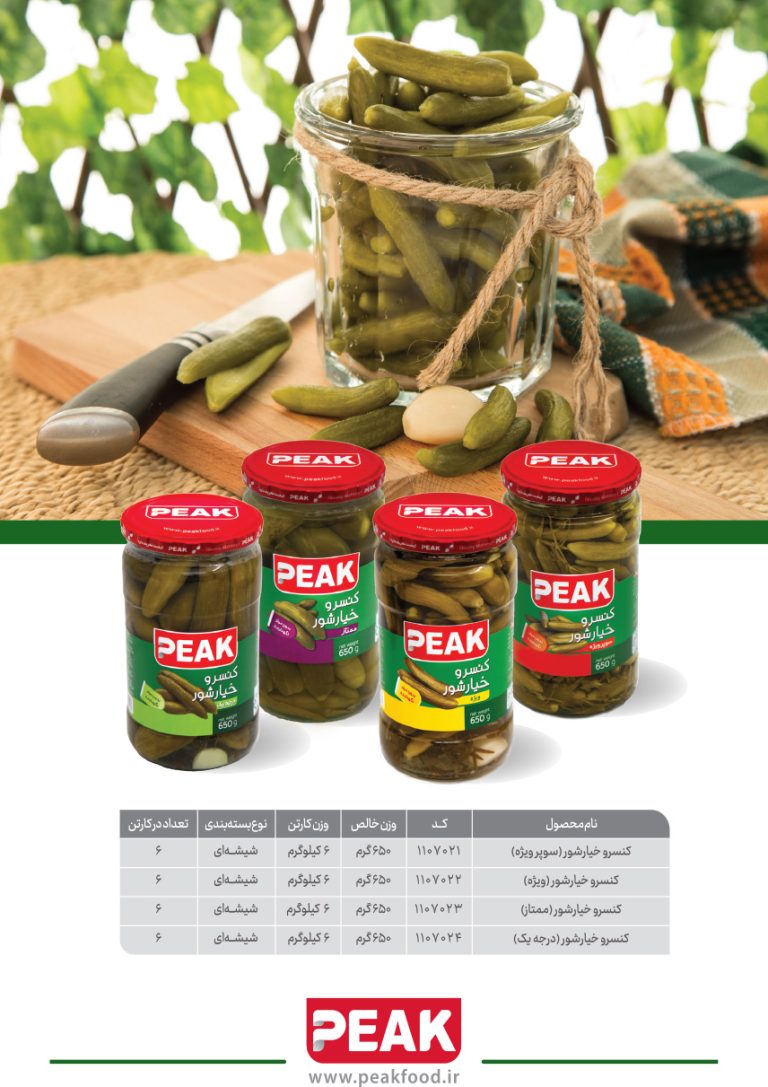 کاتالوگ محصولات پیک